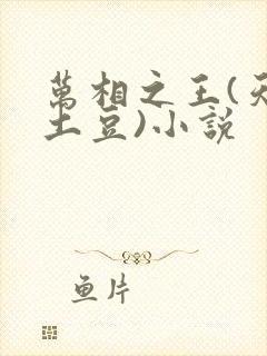 万相之王(天蚕土豆)小说