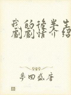 我的后半生电视剧剧情介绍