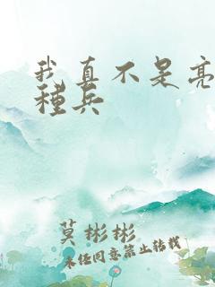 我真不是亮剑特种兵