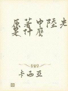 原著中陆光结局是什么