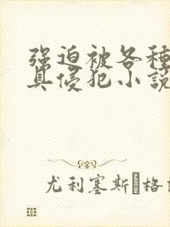 强迫被各种性器具侵犯小说