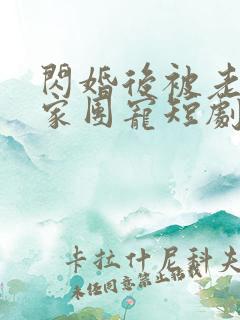 闪婚后被老公全家团宠短剧在线观看