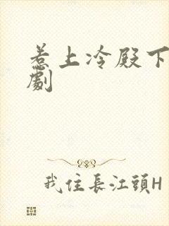 惹上冷殿下电视剧