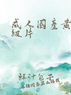 成人国产黄色一级片