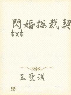 闪婚总裁契约妻txt