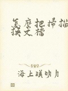 怎么把扫描件转换文档