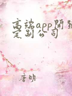 高端app开发定制公司