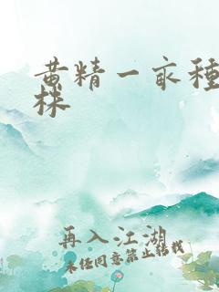 黄精一亩种多少株