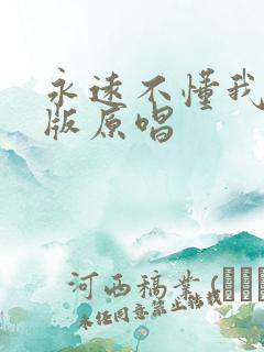 永远不懂我dj版原唱