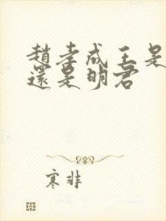 赵孝成王是昏君还是明君