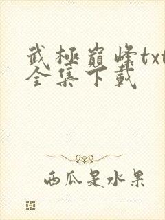 武极巅峰txt全集下载