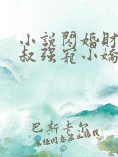 小说闪婚财阀大叔强宠小娇妻