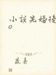 小说先婚后爱po