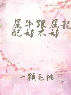 属牛跟属龙的婚配好不好