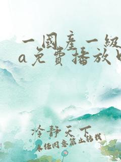一国产一级淫片a免费播放口