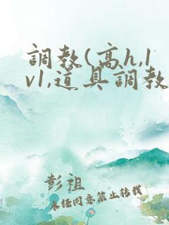 调教(高h,1v1,道具调教)