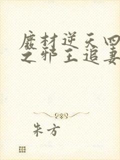废材逆天四小姐之邪王追妻