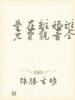 爱在离婚进行时免费观看全集高清版