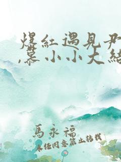 爆红遇见尹少桀,慕小小大结局