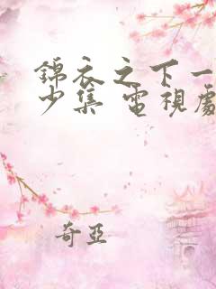 锦衣之下一共多少集 电视剧