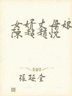 女婿丈母娘小说陈超赵悦