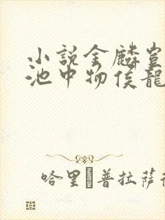 小说金麟岂是物池中物侯龙涛