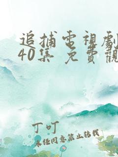 追捕电视剧 共40集 免费观看