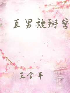 直男被掰弯的文