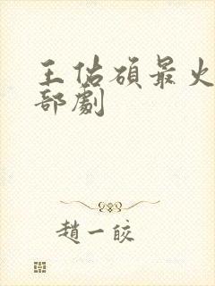 王佑硕最火的5部剧