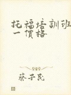 托福培训班一对一价格