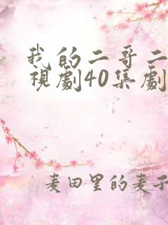 我的二哥二嫂电视剧40集剧情介绍