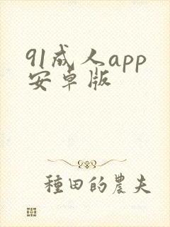 91成人app安卓版