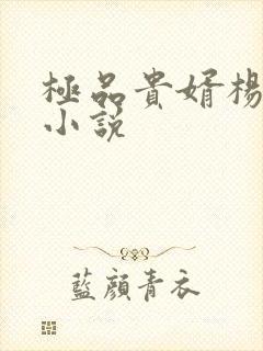极品贵婿杨晓雪小说