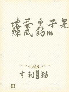 坏蛋皇子是怎样炼成的m