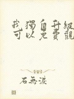 我独自升级哪里可以免费观看