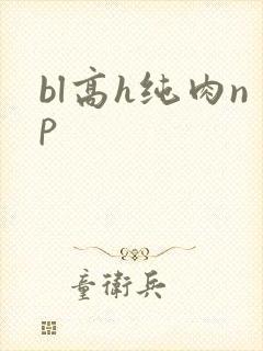bl高h纯肉np