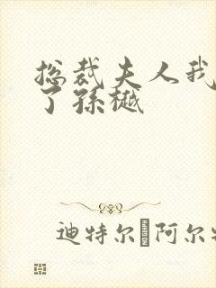 总裁夫人我当腻了孙樾