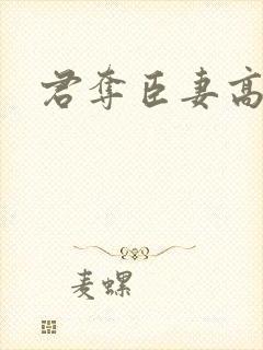 君夺臣妻高h