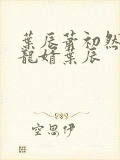 叶辰萧初然上门龙婿叶辰