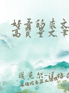 好看的爽文小说高质量文笔好