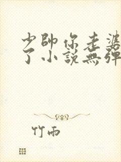 少帅你老婆又跑了小说无弹窗
