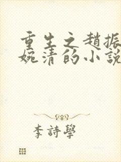 重生之赵振国宋婉清的小说