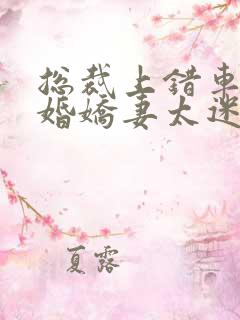 总裁上错车,闪婚娇妻太迷人夏末小说免费读