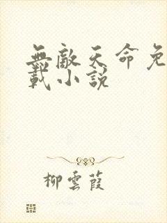 无敌天命免费下载小说