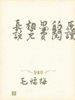 长相思的原著小说免费阅读