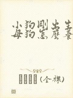 小狗刚出生没有母狗怎么养