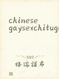 chinesegaysexchitugay