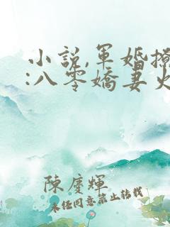 小说,军婚撩人:八零娇妻火辣辣