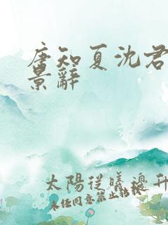 唐知夏沈君宴陆景辞