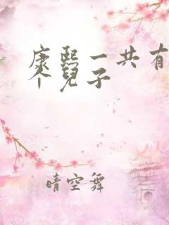 康熙一共有多少个儿子